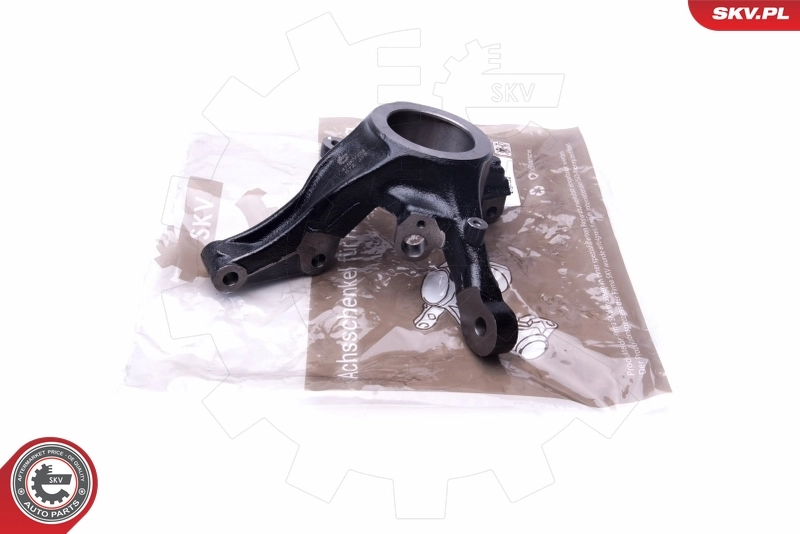 Steering Knuckle, wheel suspension